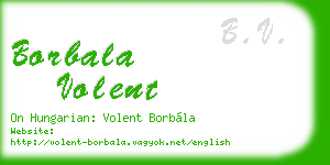 borbala volent business card