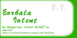 borbala volent business card